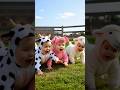 Dudi Dudi Dam Dam Dance | Cutest Baby Moments That Will Melt Your Heart 😊 #Shorts