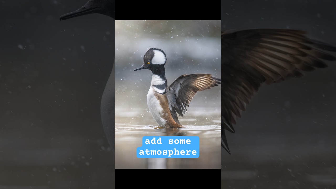 Снимайте лучшие фотографии дикой природы зимой! #фотографиядикойприроды #фотографияприроды #фотог...