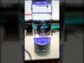 BlueVida SPE&amp;PEM High concentration of hydrogen Water SlowMo