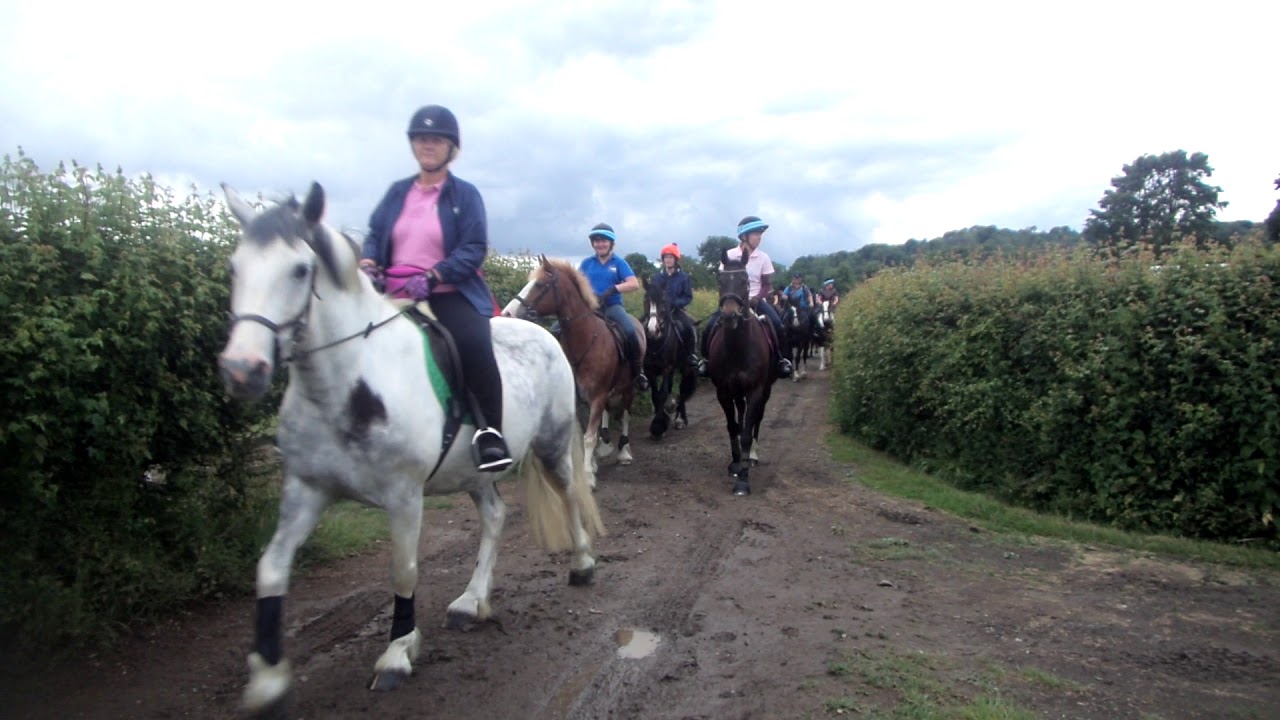 EKWS Harriers - Godmersham Park