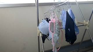 【熟女の下着紹介】ベランダで洗濯物干し1｜[Japanese Lingeries] Draying Panties 1