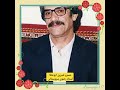 خسرو شیرین ابوعطا، استاد رضوی سروستانی