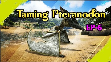 How to tame pteranodon in ark mobile | Taming pteranodon | EP-6