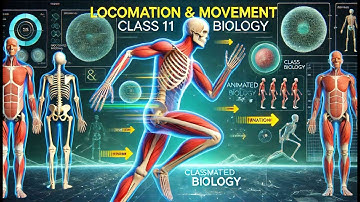 Locomotion and Movement | Class 11 Biology | Animated Explanation for Easy Learning!