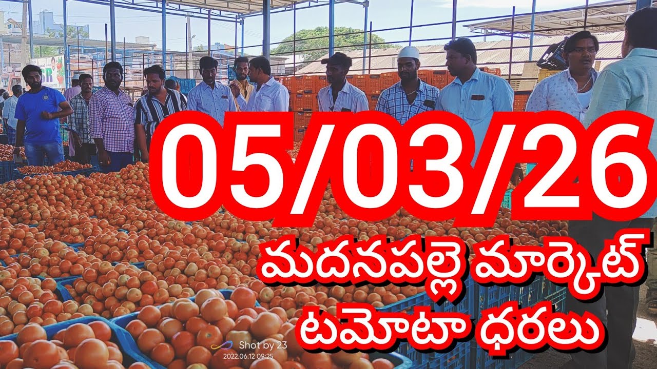 05-03-26 Madanapalle Tomato Market price Today || Today Tomato Market Rate in Madanapalle #today