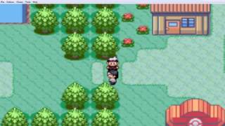 pokemon ruby cheats
