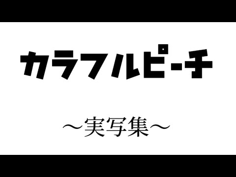 カラフルピーチ〜実写集〜　#からぴち#実写