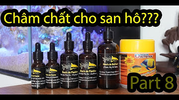 [ Part 8] Biểu Đồ Dinh Dưỡng Của San Hô & Các Chăm Sóc Bể Cá Nemo Cơ Bản!!!