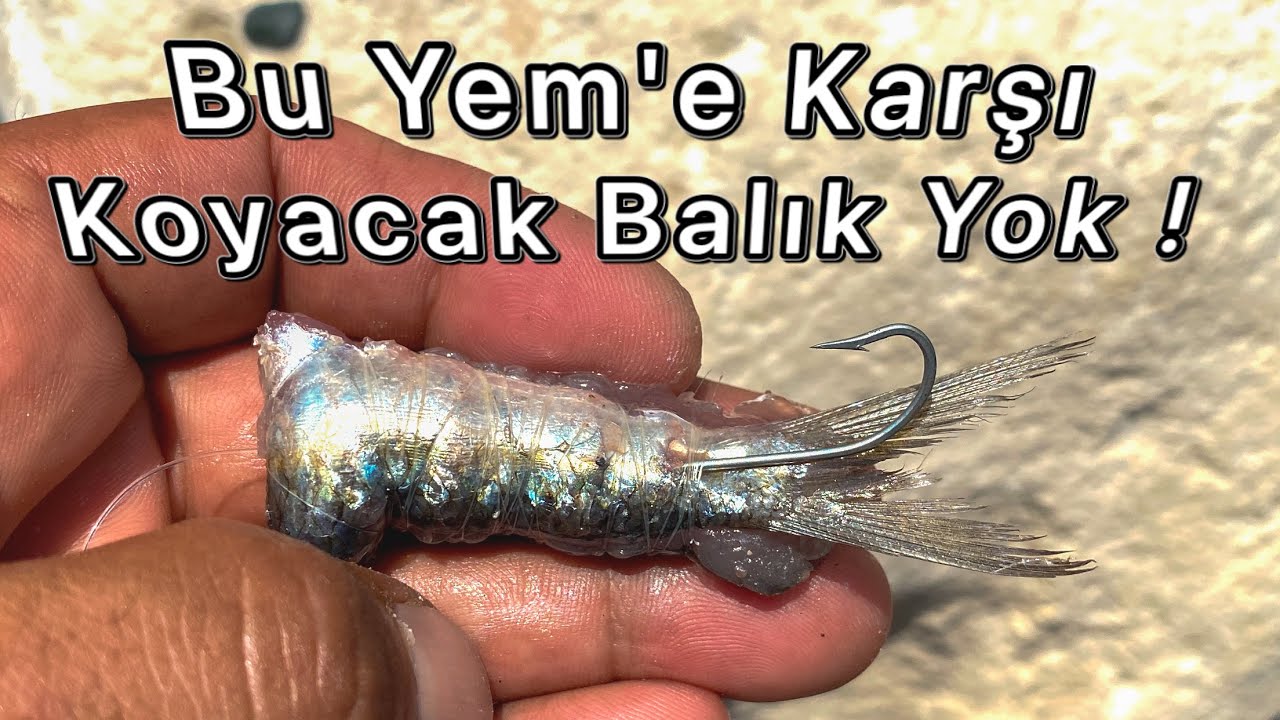 Look at that amazing fishing bait !!!