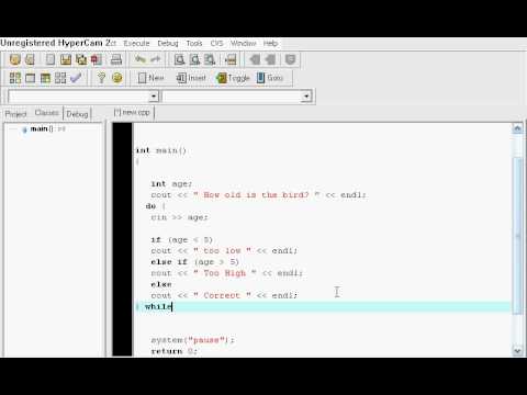 C++ Tutorial 11 (Do while Loop)