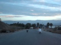 Longboarder atacado por jauria de perros