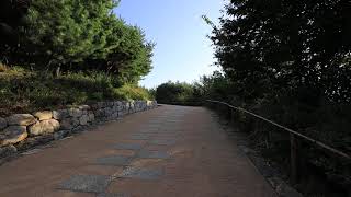 Canon RF15-35L 3 ISOFF+DISOFF 371A4170