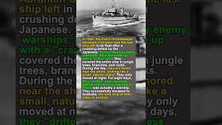 The Dutch Ship That Turned Into a Tropical Island 🌴🚢 #WWII #History #Bizarre #Camouflage #shorts