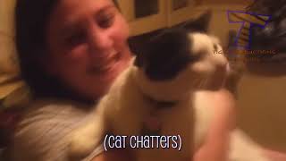 TIME for SUPER LAUGH!  Best FUNNY CAT videos amazing ever