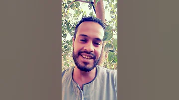 معلومه بسيطه عن شجر النبق شوف النبي قال علي الشجر ده ايه شاهد القناه 