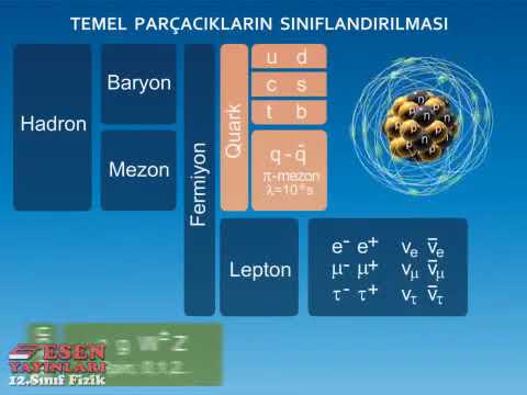 Esen Yayınları Animasyonları: Atom Altı Parçacıklar | Subatomic Particles (12.Sınıf)