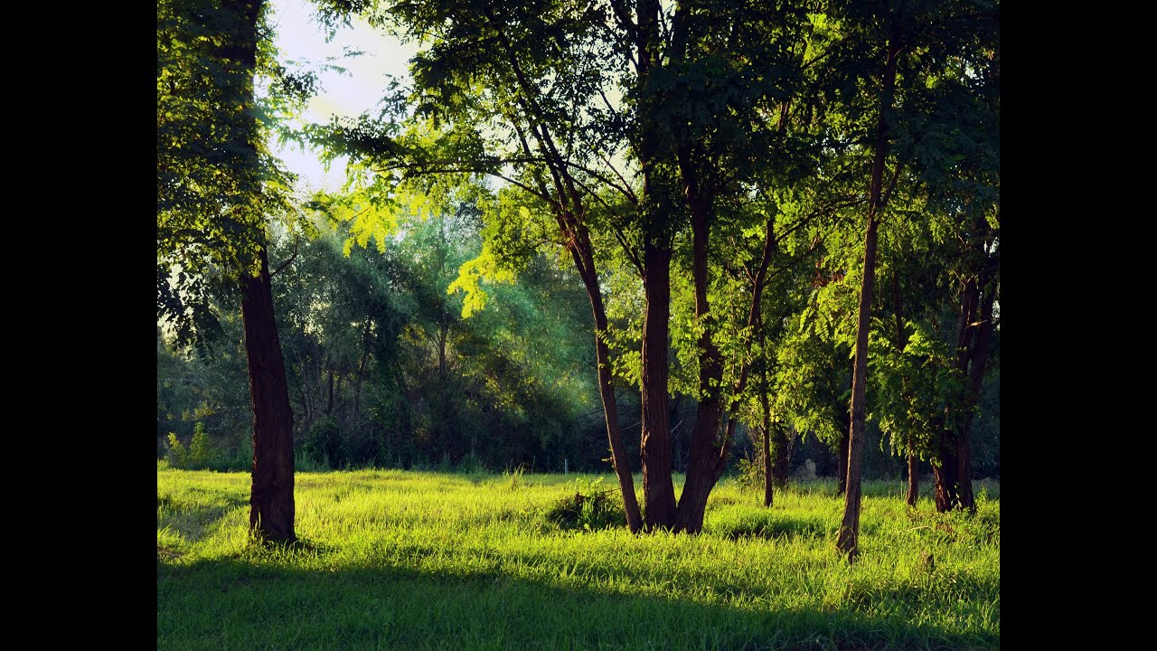 Η ξενιτιά - Bingeol / Aslı Aker - Nikos Simitsakos