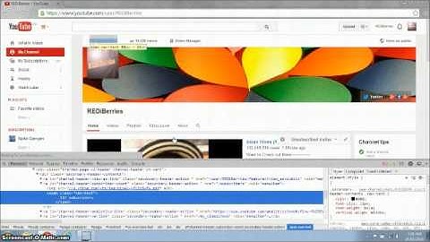 (REDiBerries) How To Prank Friends With Inspect Elements!