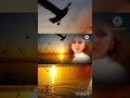 توبة ميادة الحناوي روائع الزمن الجميل