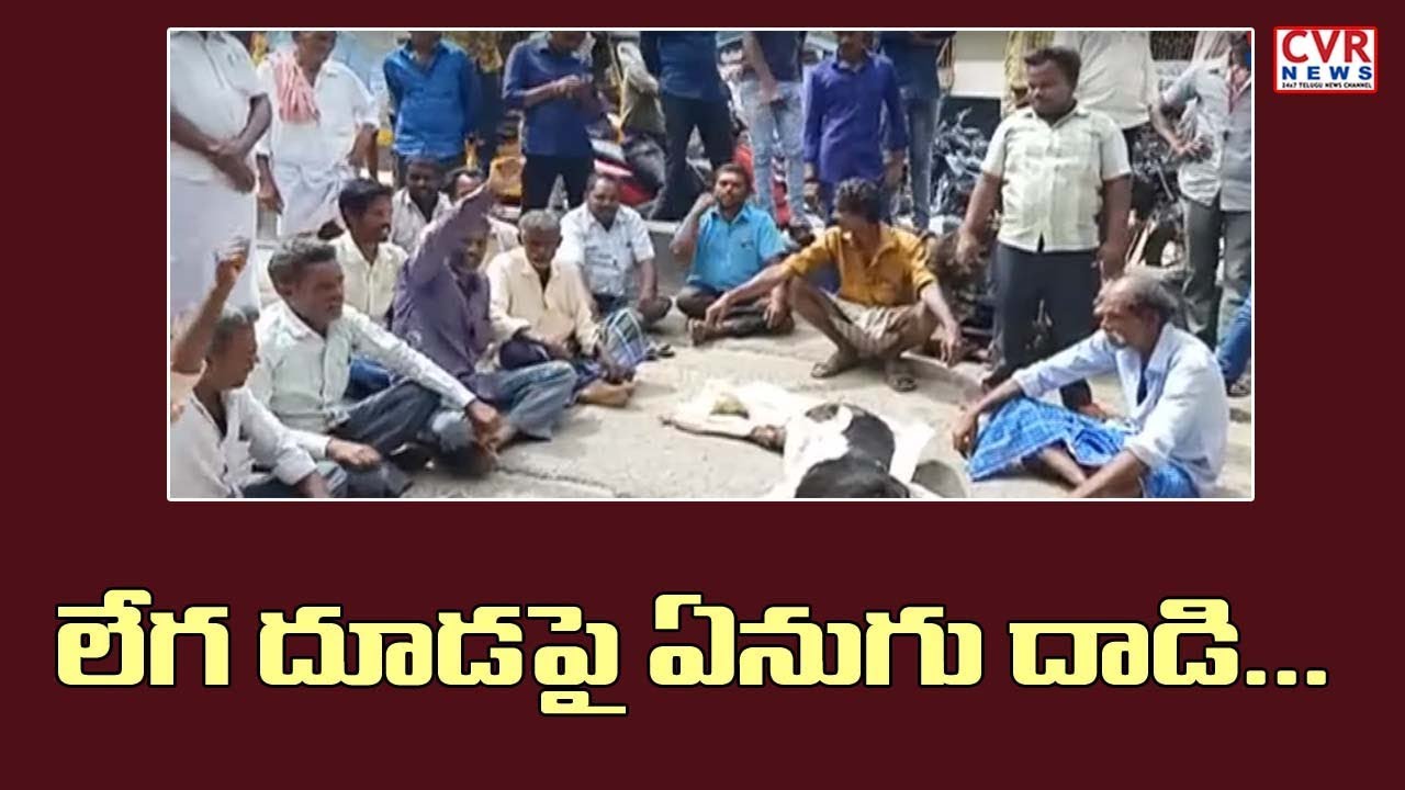 chandrababu actor లేగ దూడ పై ఏనుగు దాడి.. | Elephant Halchal in Chittoor Dist | CVR News