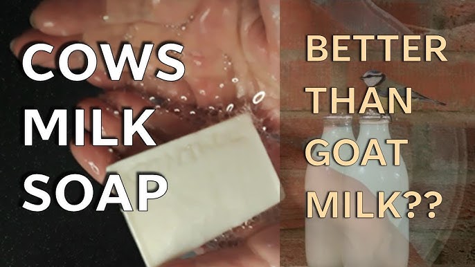 Goat's Milk Soap - Nablus Soap Co.