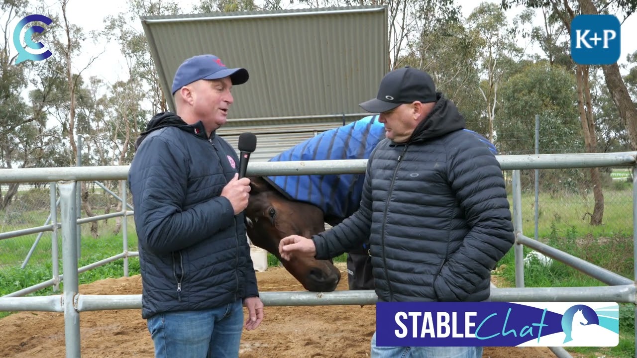 Stable Chat with Pat Cannon