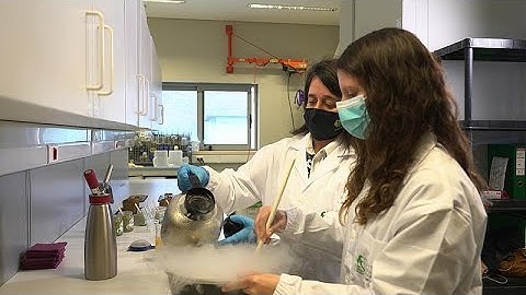 Will consumers be won over by microalgae meals?