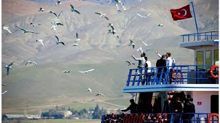 Bir Sevdadır Elazığ Iğ