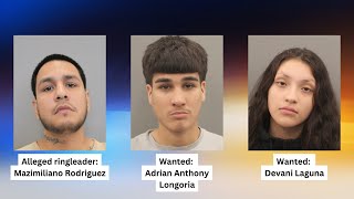 23 arrests, including ringleader, made in HPD’s massive auto theft ring bust; 2 suspects wanted