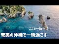[奄美大島遠征 DAY5~6]クエも釣れる奄美の沖磯で夜釣りした！#磯釣り #釣りキャンプ #仁太丸