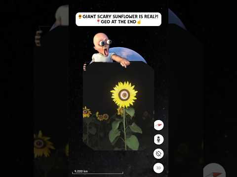 🌻I found GIANT