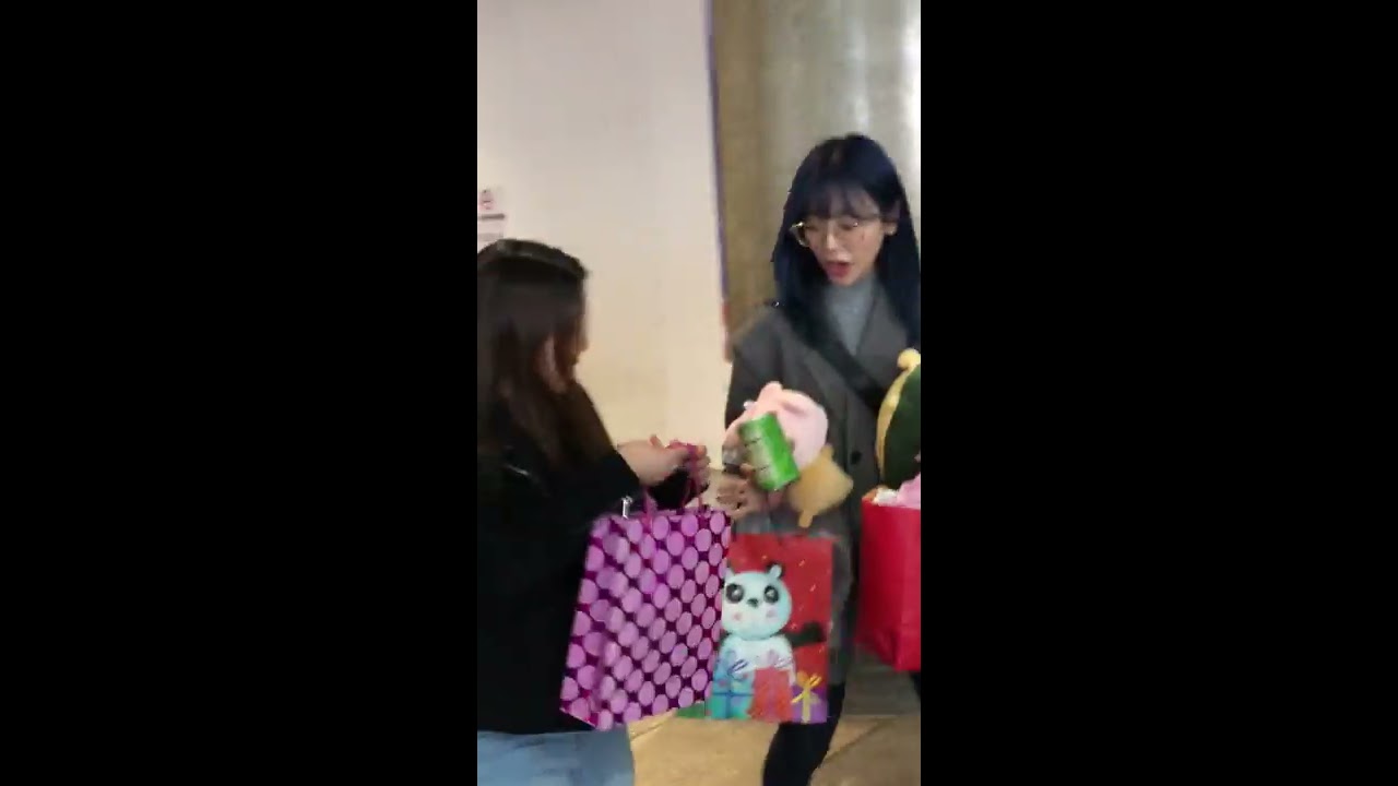 Dreamcatcher LAX arrival (191205)