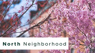North Neighborhood at MSU