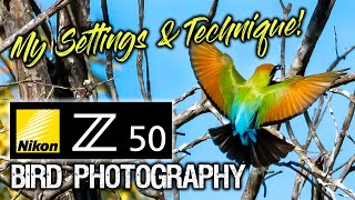 Nikon Z50 Bird Photography | My Settings & Technique!
