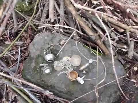 Видео: Сороки разрушают гнезда?