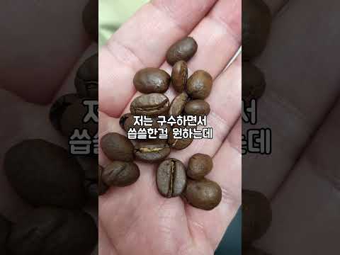 커피명가 부산가덕도점