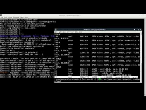 Видео: Как я могу скачать видео с YouTube DL?