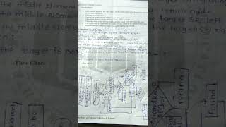 5th Practical Answer Data Structure Using C manual