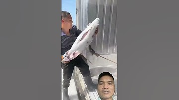 10 giây là dỡ xong #fishing