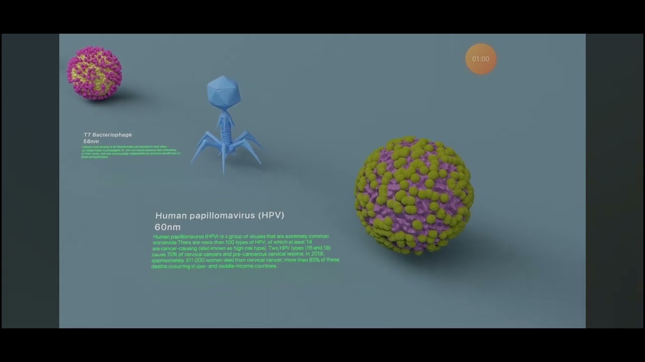 Virus size comparison YouTube