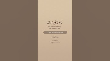 سورة النساء [ 142 - 143 ] ~ الشيخ علي جابر