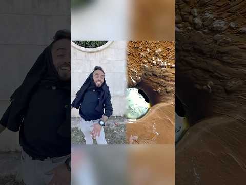 مجانين هربو من المشفى Shorts