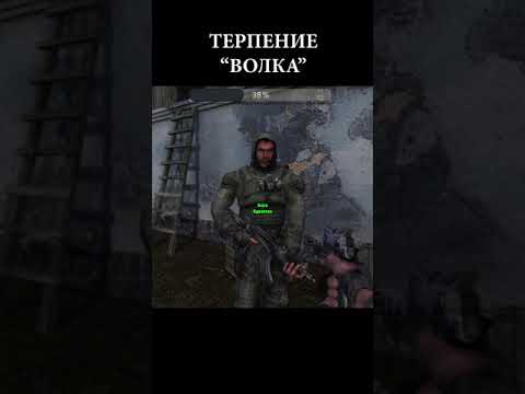 ДОВЕЛИ STALKER а #shorts