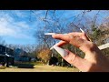 ASMR! Tapping Outside On A Sunny Day☀️