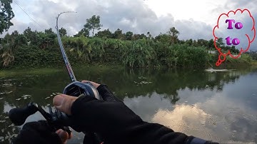 Du Câu Đăk Lăk gặp luôn hugo phút chót | Câu cá lóc tự nhiên