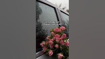 سورة يونس || الآية 89  🫀                                                 #القرآن_الكريم