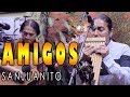 Amigos  south american music  sanjuanito