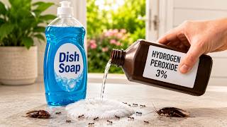 Why Exterminators Mix Hydrogen Peroxide with Dawn — 10 Uses They Never Tell You