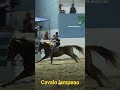 Cavalo Lampeao dando show 🐎
