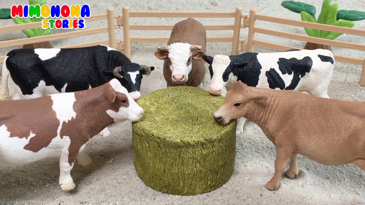 Granja de Vacas Toros y Terneros 🐮🐮 Juegos infantiles para niños Mimonona Stories YouTube Granja de Vacas Toros y Terneros 🐮🐮 Juegos infantiles para niños Mimonona Stories YouTube